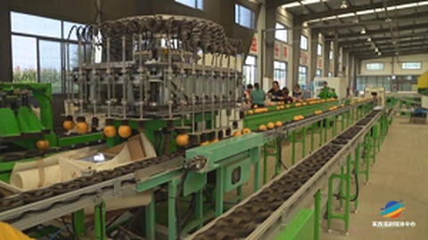 Birinchi meva standartlashtirish kelib chiqishi xizmati forumi