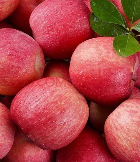 Olmaning barcha turlari